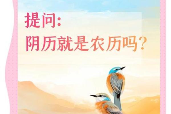 揭秘：农历一年究竟有多少天？背后隐藏的秘密等你来探索