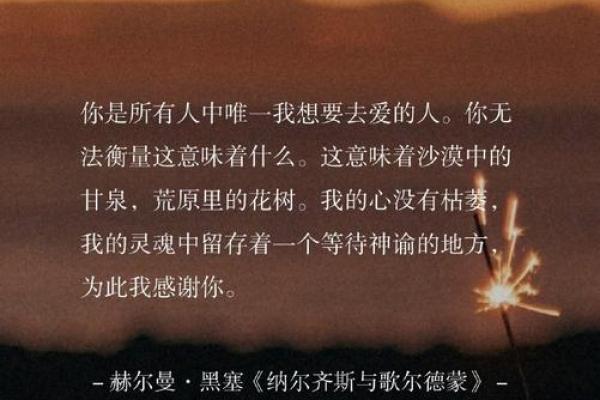 情人节：探索西方爱的表达方式与风俗习惯