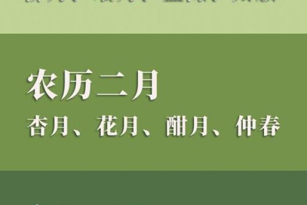 月圆人团圆？揭秘十月十三的农历奥秘