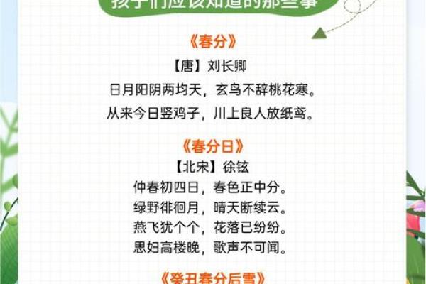 春分和谐：天文与自然的节日诗篇