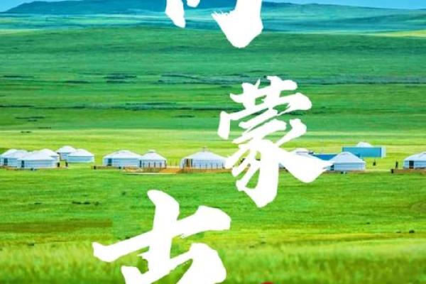 草原上的养生节日：蒙古族如何与自然和谐共生