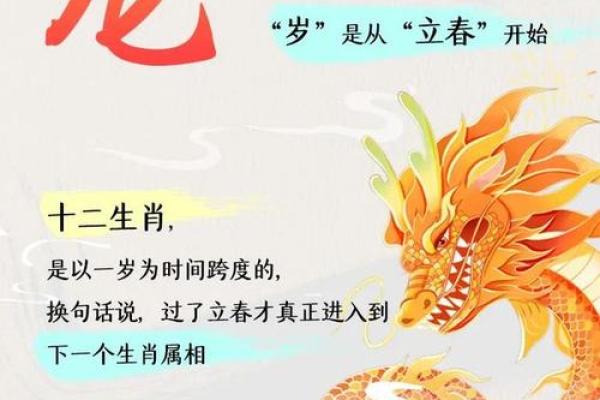 揭秘：生肖背后的农历秘密，你竟然不知道这些？