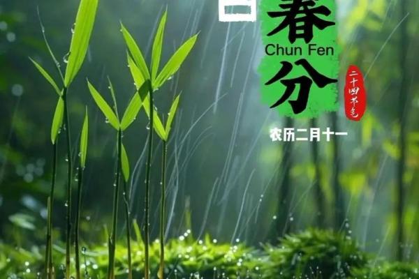 三月春分，如何在节气变换中调理健康