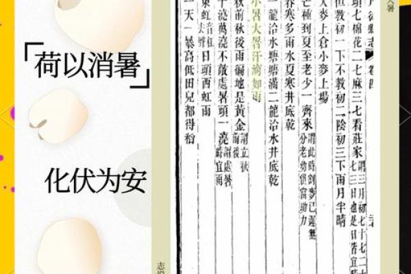 夏至将至，农历6月15，揭秘古人的避暑秘籍