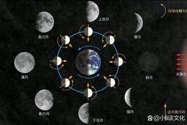 农历日期大揭秘：如何一眼辨出闰月和二十四节气？