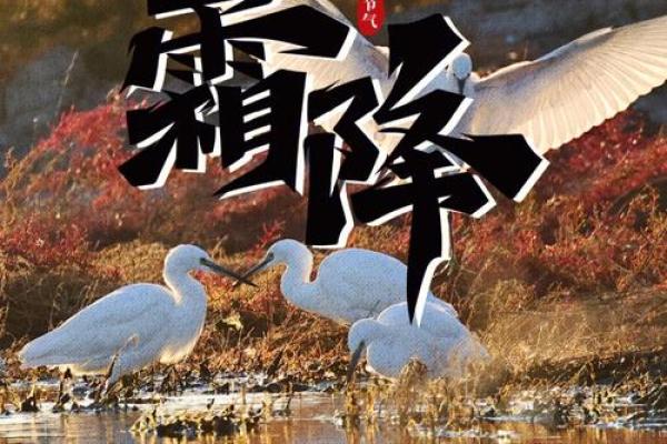是中国农历的二十四节气之一霜降节气，预示着寒冬来临