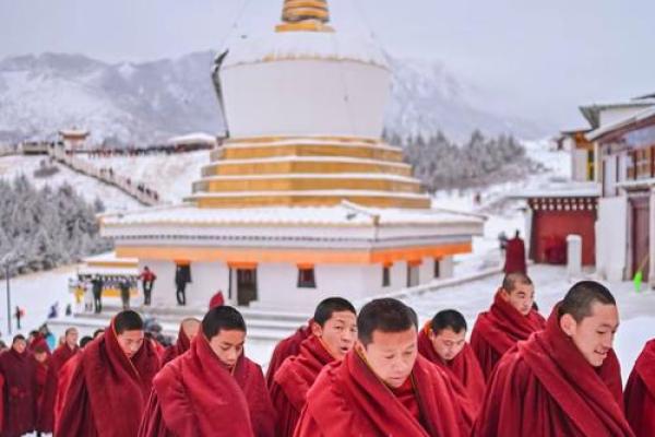 四月八日节：藏族的养生与佛教习俗交融