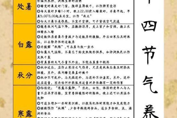 从24节气看中国：农历与自然节律的完美融合