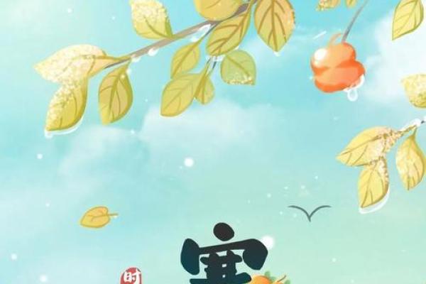 寒露节气：秋冬交替的养生与天文变迁
