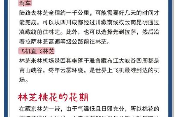 赏桃花，养生两不误：桃花节的健康与美丽秘诀