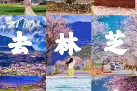 赏桃花，养生两不误：桃花节的健康与美丽秘诀