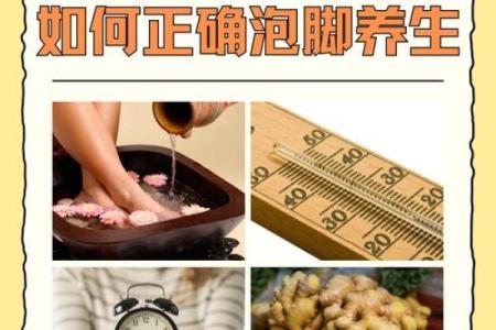 如何通过日养生调理身体