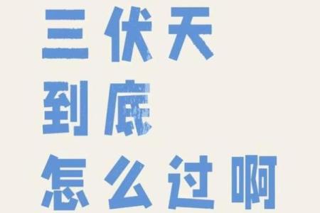 养生之道：如何在八月的酷暑中保持身心健康