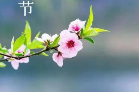 探秘农历三月三：古人的上巳节有何神秘面纱？