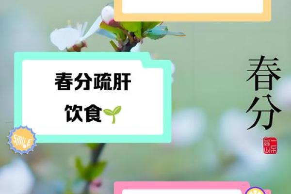 春分节气：如何通过养生保健调整体内阴阳平衡