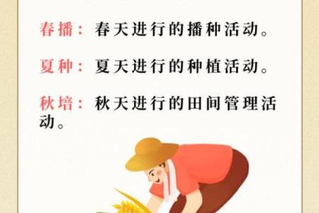 春节后农田的规划与施肥技巧