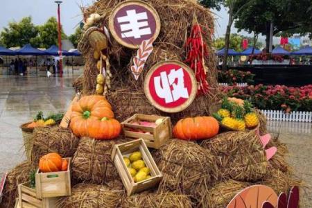 傣族丰收节：庆祝丰收与祈求来年好兆头