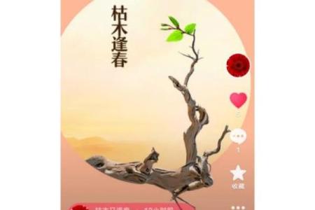 农历11月30日：一场穿越时空的节日盛宴即将开启
