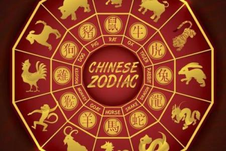 1995年农历，揭秘十二生肖中的神秘转折点