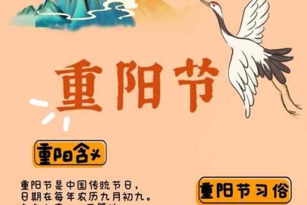 九九重阳，揭秘农历九月14背后的神秘传说