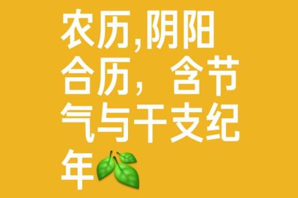 农历里的传统习俗：揭秘老一辈人的节日密码