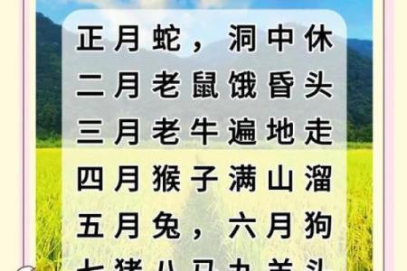 农历10月28，古人的智慧如何指引现代生活？
