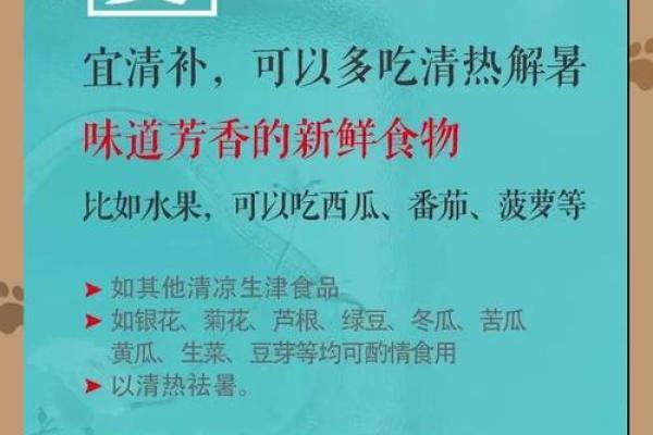 下元节养生法：如何利用节气调养身体，顺应自然