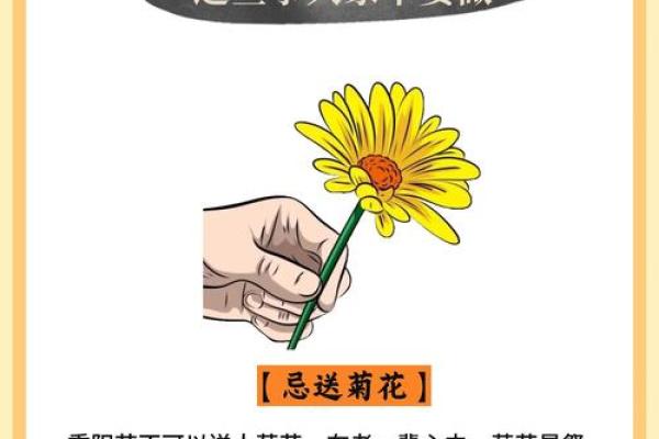 重阳节与传统的敬老文化