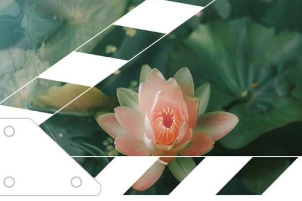 羌族春耕节：与大地对话，庆祝农耕始动