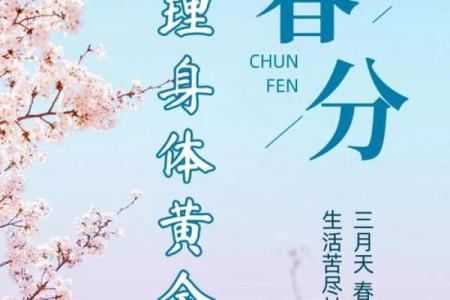 春分节令：天文奇观与养生之道，如何在春分时节调养身体？