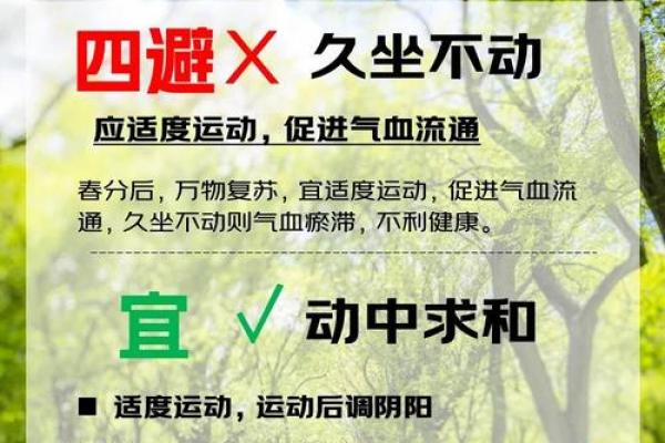 春分节气养生妙招，如何顺应天时保健康