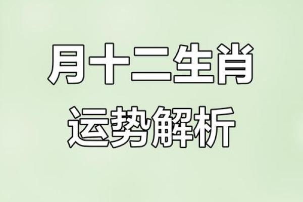 揭秘农历12月23日:一场关于时间与传统的奇妙邂逅 揭秘农历12月23日:一场关于时间与传统的奇妙邂逅