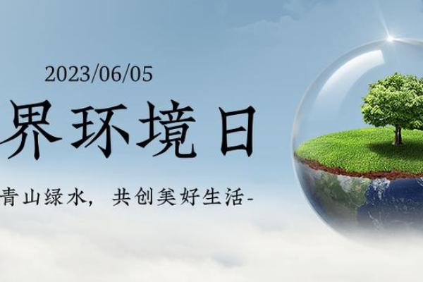 如何在六月六日与自然节奏和谐共生