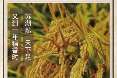 探寻农历十月初四：传统节日背后的神秘面纱