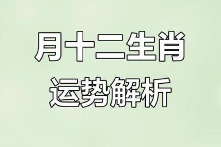 揭秘农历12月23日：一场关于时间与传统的奇妙邂逅