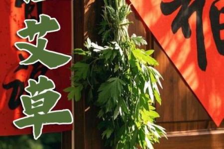 端午节习俗中的古老天文与健康寓意