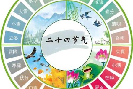 农历并非阴历？探究两者之间的惊人关联