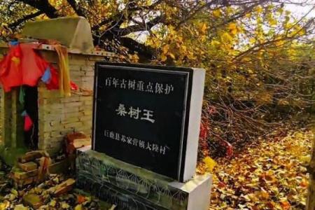 古韵今风：1980年农历的变迁与传承之谜