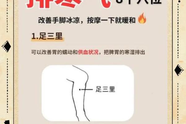养生法：迎寒季节的身体调理方法