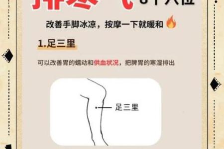 养生法：迎寒季节的身体调理方法