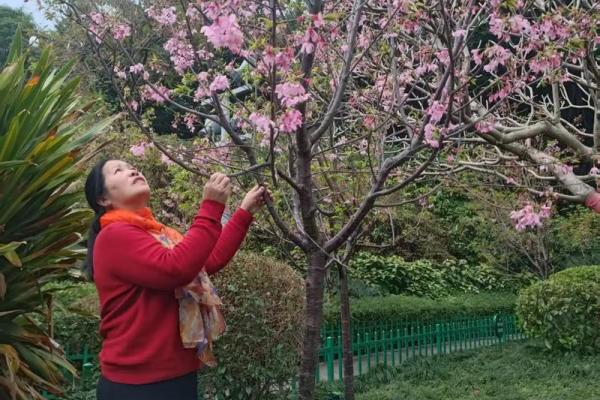 春暖花开，神秘揭晓：揭秘三月二十二背后的古老传说