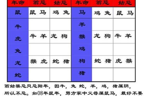 12月宝宝运势大提升：揭秘一年中最佳诞辰吉日，你选对了吗？