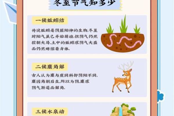 冬至养生秘诀：如何在传统节日中调理体质与养生
