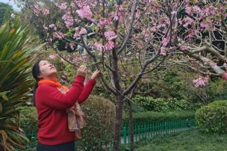 春暖花开，神秘揭晓：揭秘三月二十二背后的古老传说