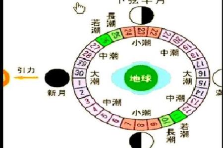 农历的节庆与天文现象探索
