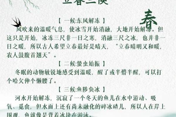 立春的节气意义与农耕社会的影响