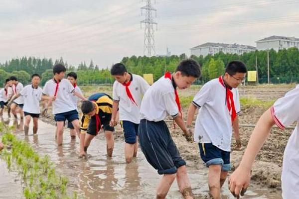 五月节令变化：气候与农耕活动的紧密联系