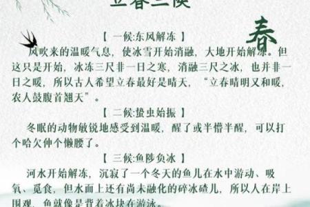 立春的节气意义与农耕社会的影响