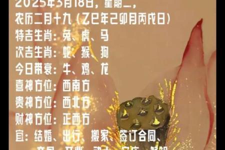 三月生肖运势大放送：你的农历生日藏着哪些秘密？