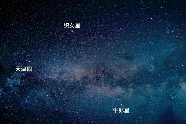探索夏季天象—的星空观察活动